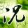 官方通报金矿发生透水事故致2死
